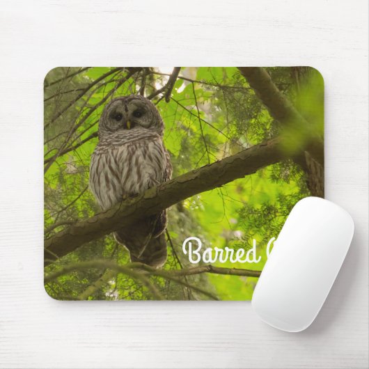 Barred Owl Mousepad (Mit Mouse)