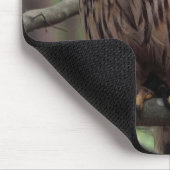 Barred Owl Mousepad (Ecke)