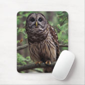 Barred Owl Mousepad (Mit Mouse)