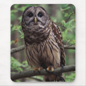 Barred Owl Mousepad (Vorne)