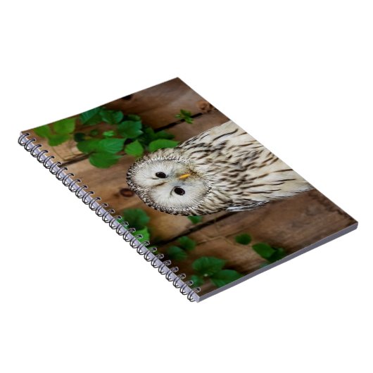 Barred Owl Notizblock (Rechte Seite)