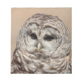Barred Owl Notizblock (Vorderseite)