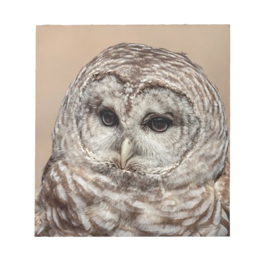 Barred Owl Notizblock (Vorderseite)