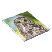 Barred Owl Notizblock (angewinkelt)