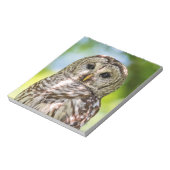 Barred Owl Notizblock (Rotiert)