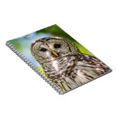 Barred Owl Notizblock (Rechte Seite)