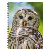 Barred Owl Notizblock (Vorderseite)