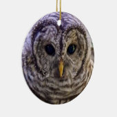 Barred Owl Ornament (Rechts)