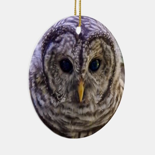 Barred Owl Ornament (Rechts)