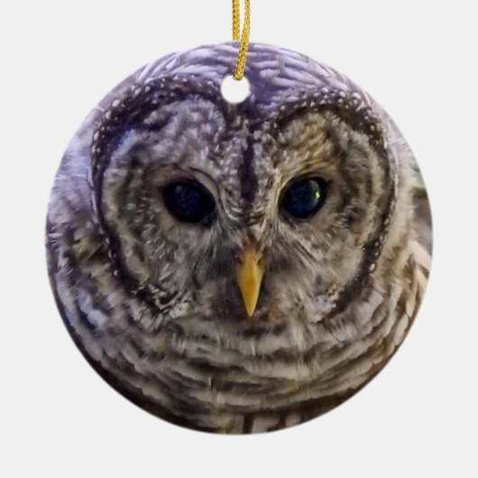 Barred Owl Ornament (Vorne)