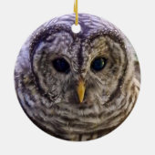 Barred Owl Ornament (Hinten)