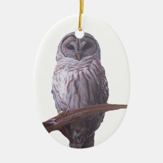 Barred Owl Ornament (Vorne)