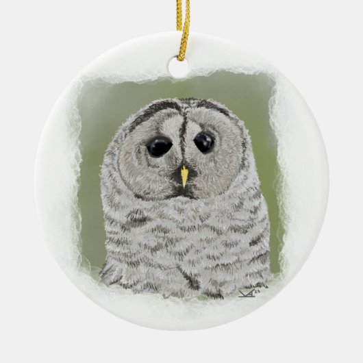 Barred Owl Ornament (Vorne)