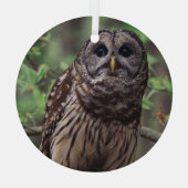 Barred Owl Ornament Aus Glas (Rückseite)