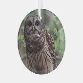Barred Owl Ornament Aus Glas (Vorderseite links)