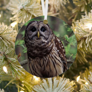 Barred Owl Ornament Aus Metall