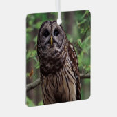 Barred Owl Ornament Aus Metall (Vorderseite Rechts)