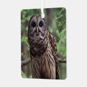 Barred Owl Ornament Aus Metall (Vorderseite links)
