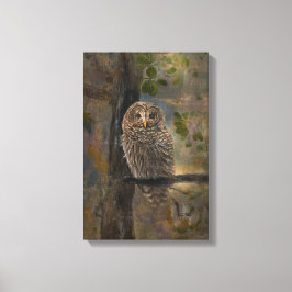 Barred Owl Painting 14 x 28 Leinwanddruck