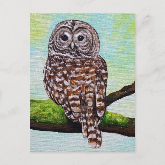 Barred Owl Painting Postkarte (Vorderseite)