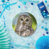 Barred Owl Pappteller (Party)