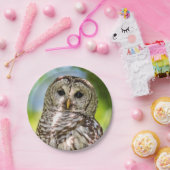Barred Owl Pappteller (Party)