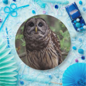 Barred Owl Pappteller (Party)