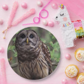 Barred Owl Pappteller (Party)