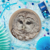 Barred Owl Pappteller (Party)
