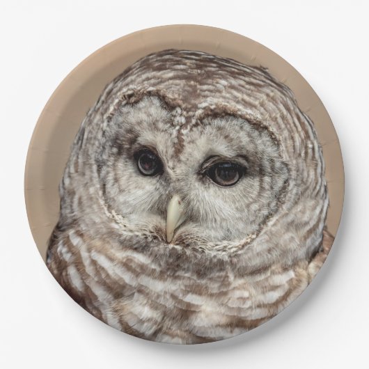 Barred Owl Pappteller (Vorderseite)