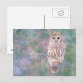 Barred Owl Pastel Digitales Ölgemälde Postkarte (Vorne/Hinten)