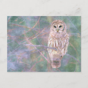 Barred Owl Pastel Digitales Ölgemälde Postkarte