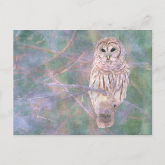 Barred Owl Pastel Digitales Ölgemälde Postkarte (Vorderseite)