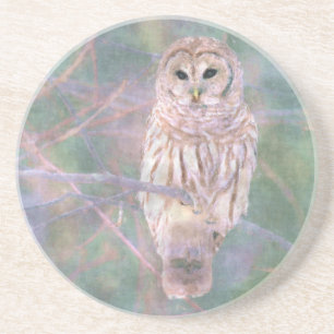 Barred Owl Pastel Digitales Ölgemälde Sandstein Untersetzer