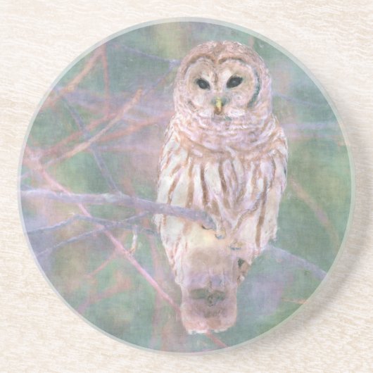 Barred Owl Pastel Digitales Ölgemälde Sandstein Untersetzer (Vorne)