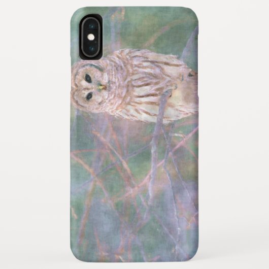 Barred Owl Pastelllackierung Case-Mate iPhone Hülle (Rückseite)