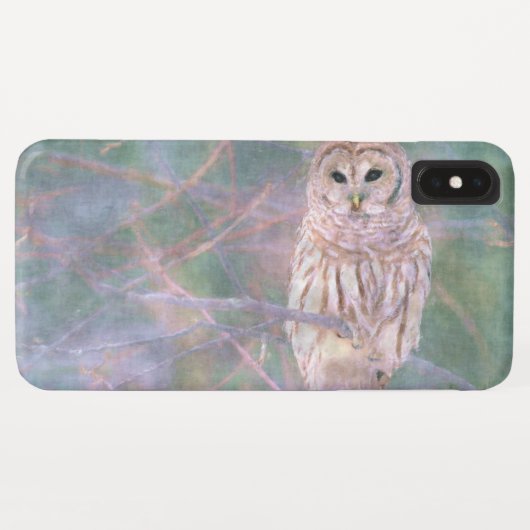 Barred Owl Pastelllackierung Case-Mate iPhone Hülle (Rückseite (Horizontal))