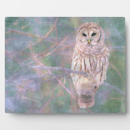 Barred Owl Pastelllackierung Fotoplatte (Vorderseite)