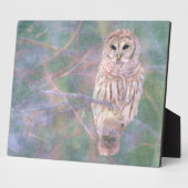 Barred Owl Pastelllackierung Fotoplatte (Seite)