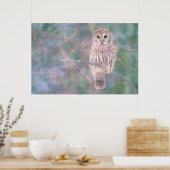 Barred Owl Pastelllackierung Poster (Küche)