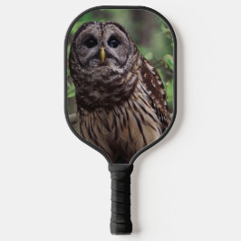 Barred Owl Pickleball Schläger