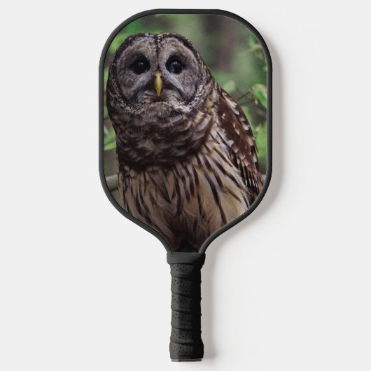 Barred Owl Pickleball Schläger (Vorderseite)