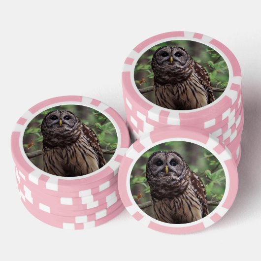 Barred Owl Pokerchips (Stapel)