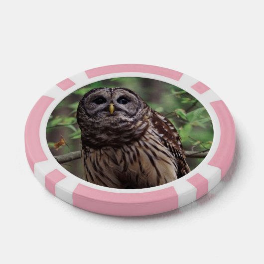 Barred Owl Pokerchips (Einzeln)