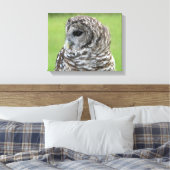 Barred Owl Portrait Leinwanddruck (Insitu (Schlafzimmer))