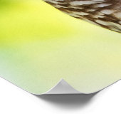 Barred Owl Poster (Ecke)