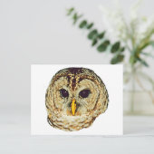 Barred Owl Postkarte (Stehend Vorderseite)