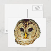 Barred Owl Postkarte (Vorne/Hinten)