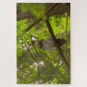Barred Owl Puzzle (Vertikal)