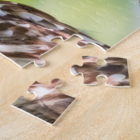 Barred Owl Puzzle (Seite)